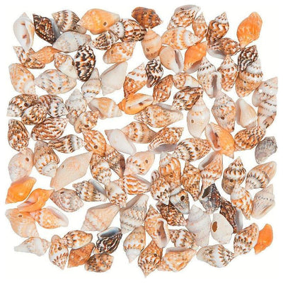 Mini Shell Beads 114/pk 5-8mm