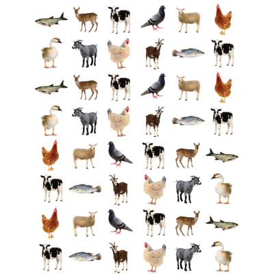 Kosher Stickers Round 19mm Color Print 10/pk