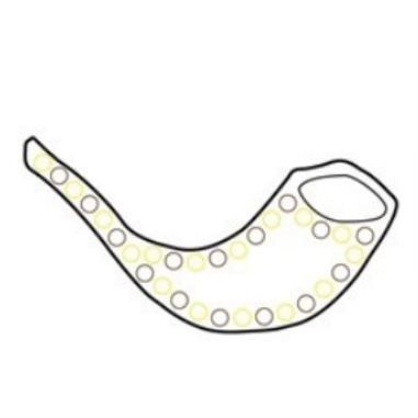 Rosh Hashanah Shofar Sticker Craft 20/pk (discontinued)