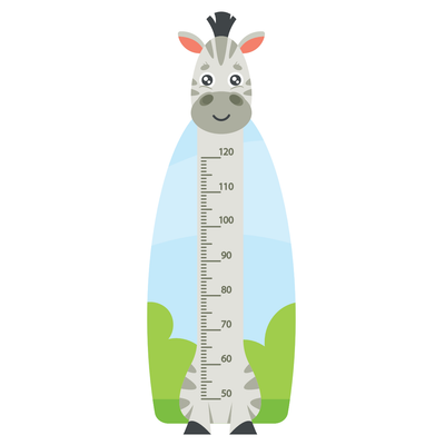 Height ruler Zebra 24 x 60