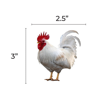 Chicken Cutout 3-inch 20/pk