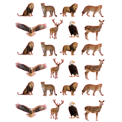 Eagle Deer Lion Lepord Stickers Die Cut Color Print 10/pk