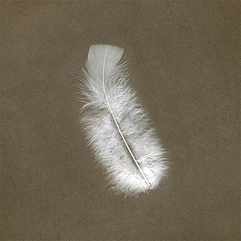 Feathers 14gr (Pink)