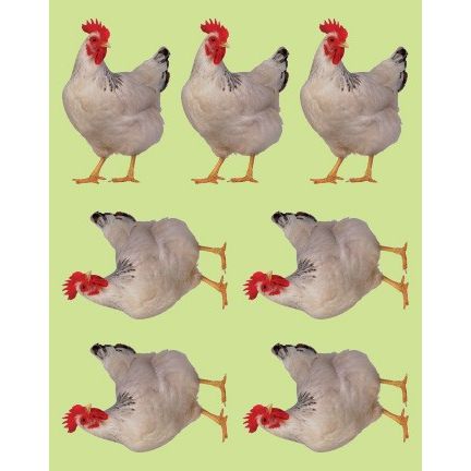 Kaparah Sticker 6/sheets (discontinued)