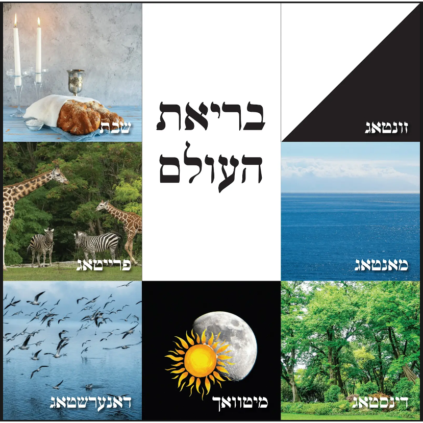 Days of creation poster 24" x 24" Laminated.