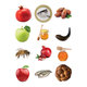 Rosh Hashanah Symbols 1 1/2" Round 32mm Color Print 10/pk