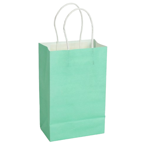 Paper Bags With Handle 5.25" X 8.25" X 3.25" Aqua 10/pk