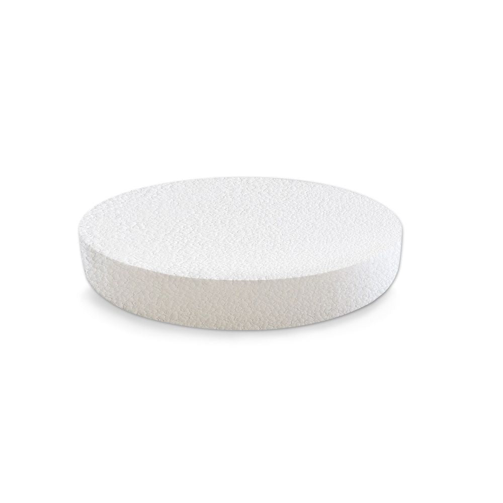 Polyfoam disc 10" x 1"