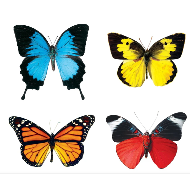 Butterflies Mini Accents Variety Pack 3" 36/pk (Discontinued)