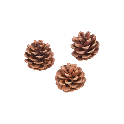 Natural Pinecones 2 1/2" 12/pk