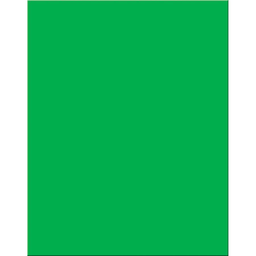 Poster Board 22" x 28"