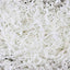 Shred Paper 2oz