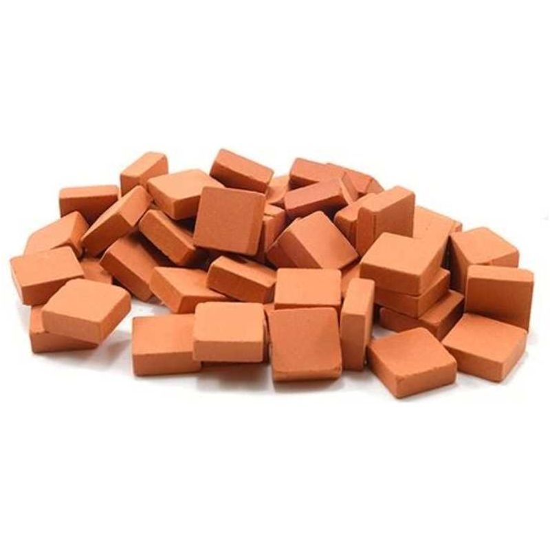 Bricks 50/pk