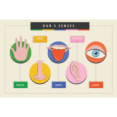 Our 5 senses poster 36x24