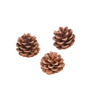 Natural Pinecones 2 1/2" 12/pk