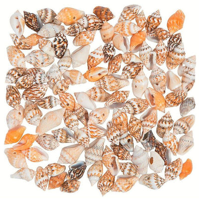 Mini Shell Beads 114/pk 5-8mm