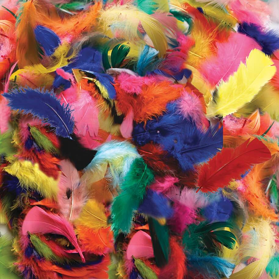 Turkey Hot Color Feathers 14 GR