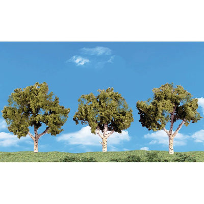 Deciduous Trees 4/PK 2"-3"