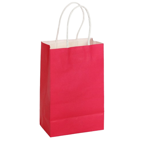 Paper Bags With Handle 7" X 11" X 4.5" Fuchsia 8/pk