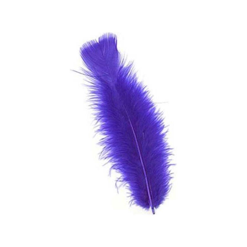 Feathers 14gr (Black)