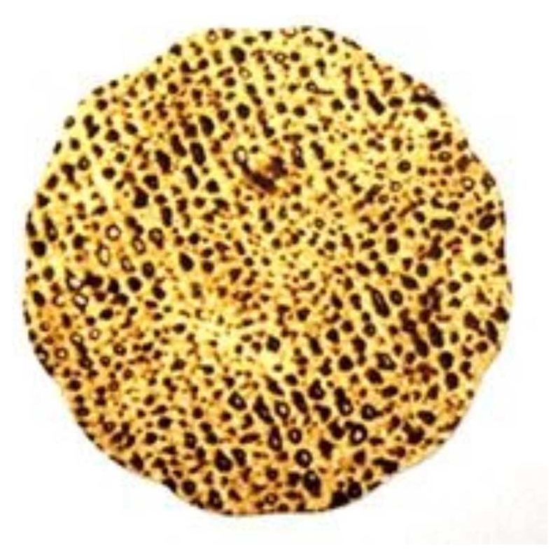 Matzah Cutout 3" w/Glitter 20/pcs. (discontinued)