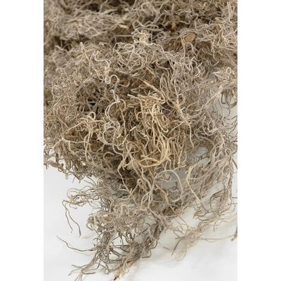 Spanish Natural Moss 8 liter (16 oz)