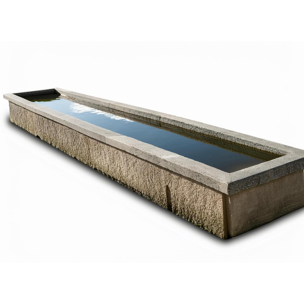 Camel Brinem 2.5" 20/pk (Cutout)