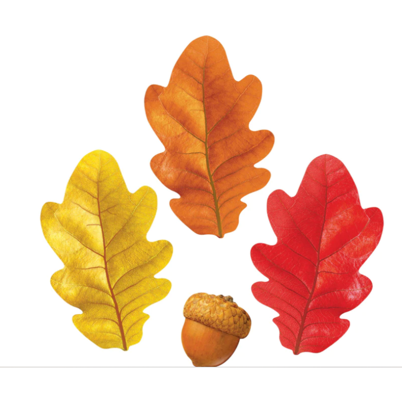 Fall Oak Leaves & Acorns Classic Accents 4.5" 108/pk