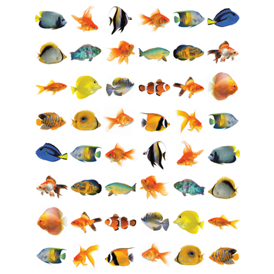 Fish Stickers 3/4" Round 19mm Clear 10/pk