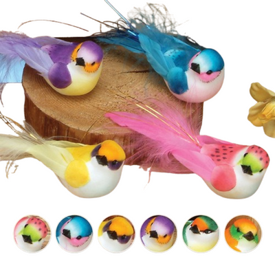 3" Feather Bird With Long Tail 12/pk