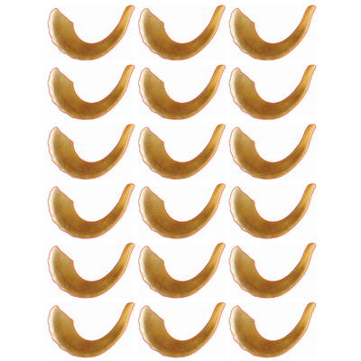 Shofer Stickers Die Cut 1.5" Color Print Shofar 10/pk