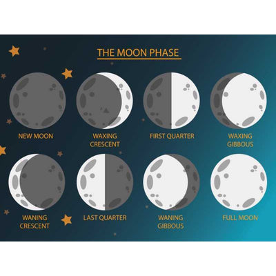 the moon cycle poster 24x18.