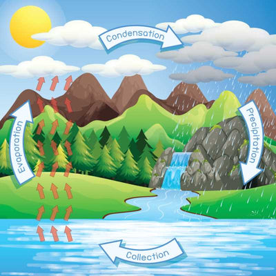 The water cycle poster - square left to right 24x24.