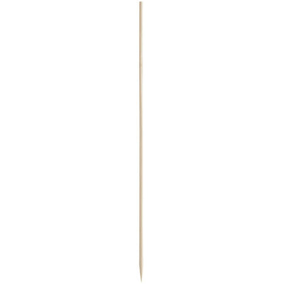 Bamboo Skewers 10" 100/pk