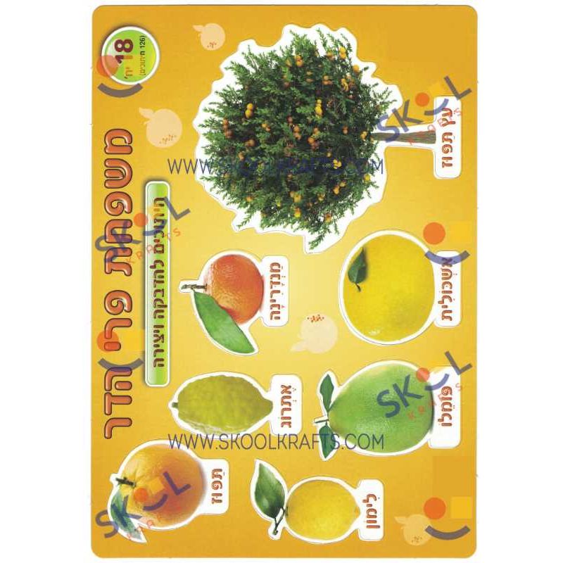 Fruit Cardstock Cutouts 18 Sheets (discontinued)