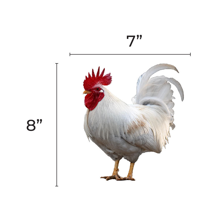 jumbo Chicken accent Cutout 9-inch 20/pk