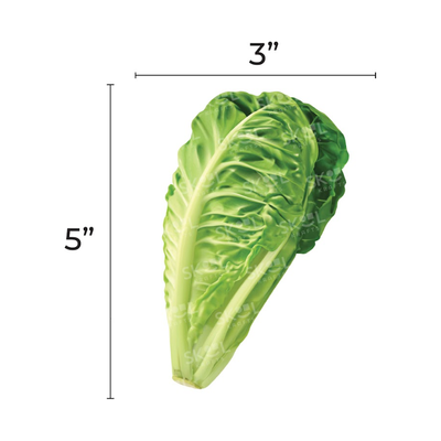 Paper Cutout Lettuce 5" 20/pk