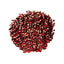 Sequins 5mm 1600pc (Closeout)