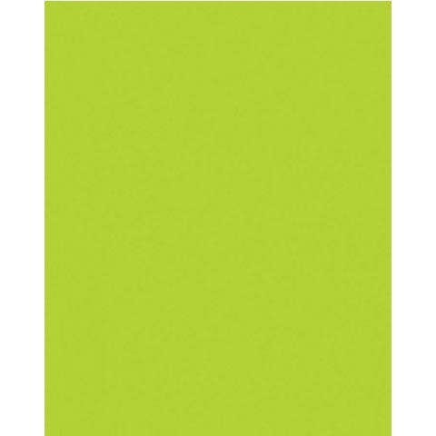 Neon Poster Board 25/pk