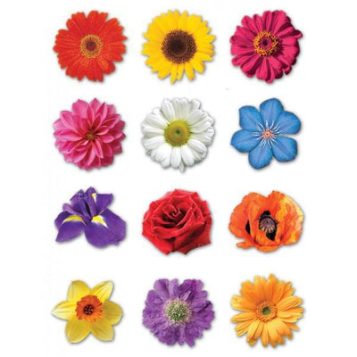 Colorful Flower Stickers 1.2" (10 Sheets) (Discontinued)
