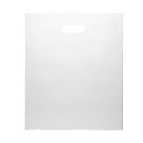 Frosted Bags (12" x 15", Aqua, 250 Pack)