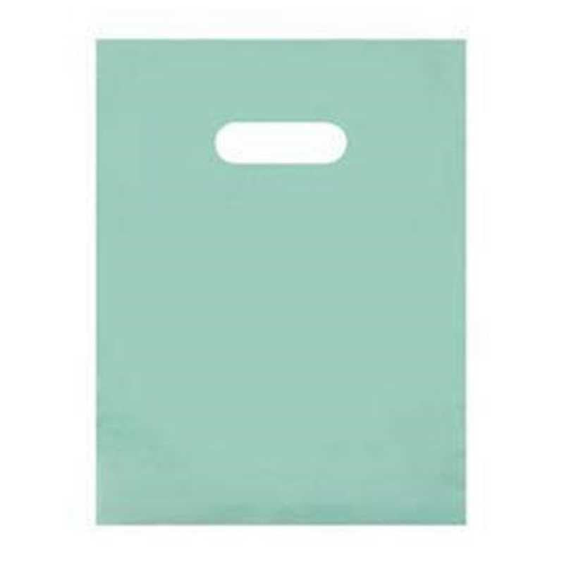 Frosted Bags (12" x 15", Aqua, 250 Pack)