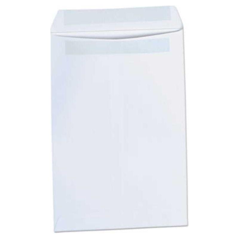 White Envelopes 100/pk (6"x9")