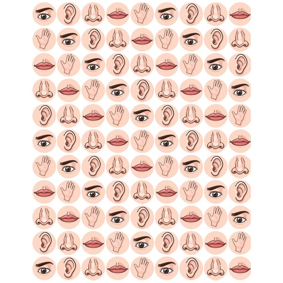 Five Senses Stickers Round 13mm Color Print 10/pk
