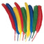 Quill Feathers Assorted Colors 24 Pieces