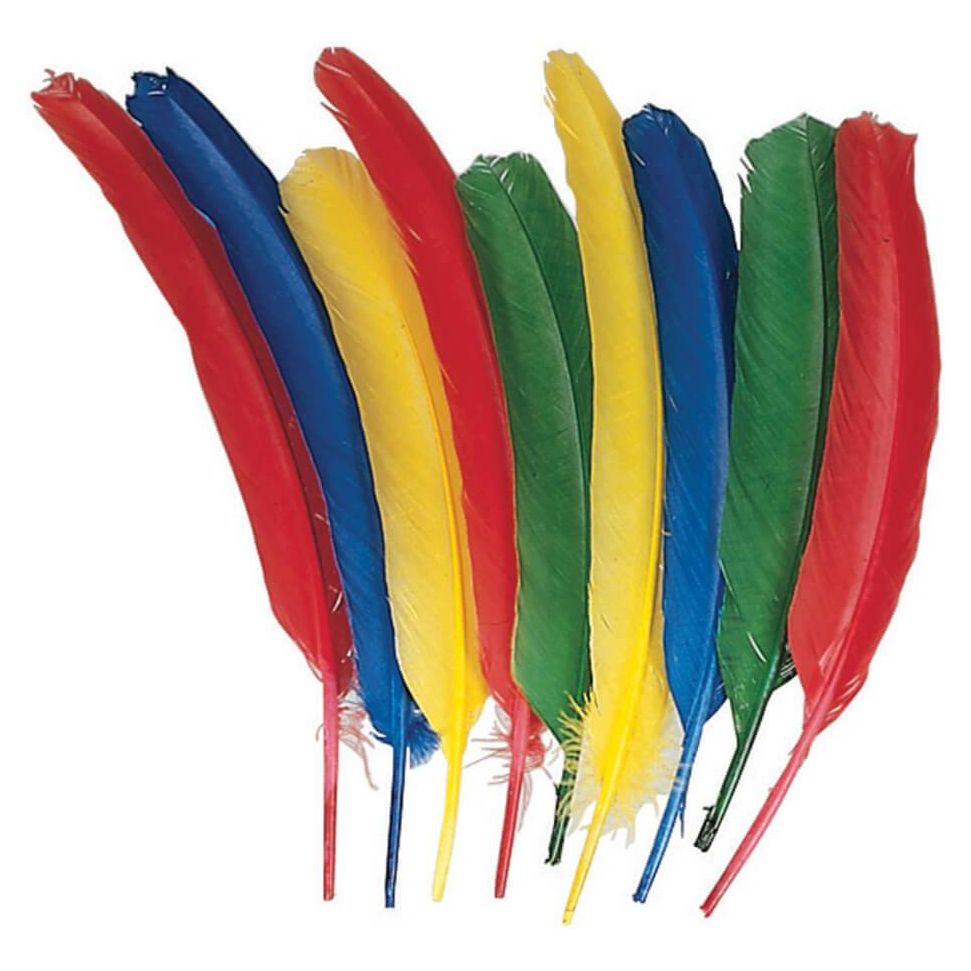 Quill Feathers Assorted Colors 24 Pieces