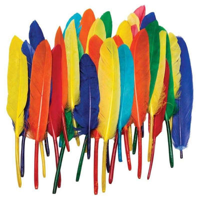 DUck Quills Feathers 14gr