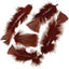 Feathers 14gr (Pink)