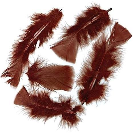 Feathers 14gr (Pink)