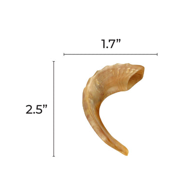 Real looking Shofar Cutout 2.5-inch 20/pk